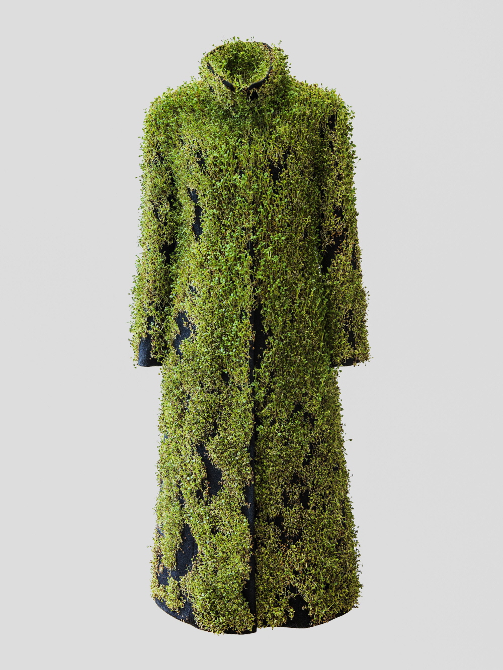 김주연(Kim Juyon)