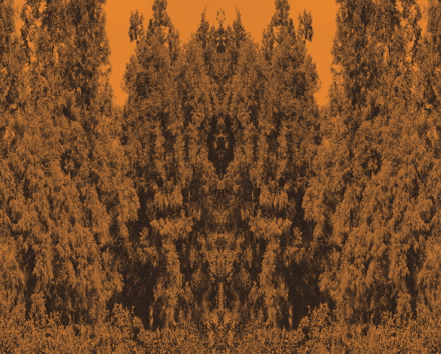 김진수(Kim Jinsoo)