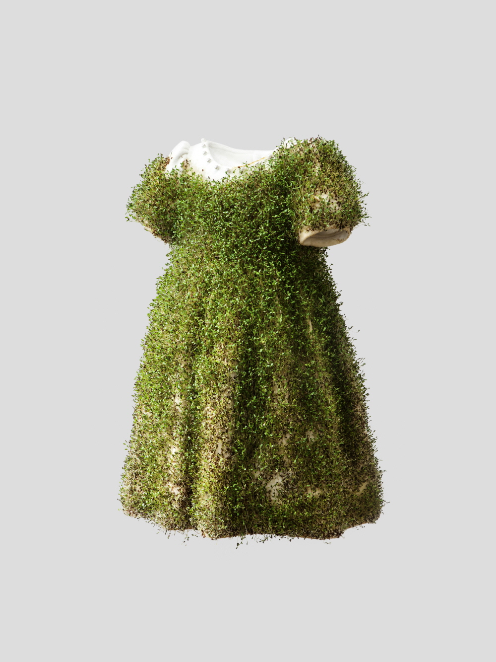 김주연(Kim Juyon)