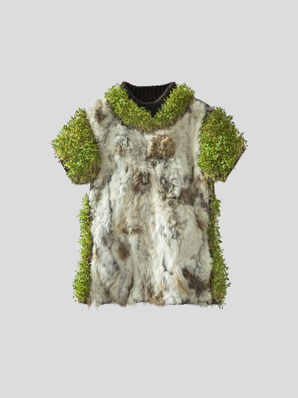 김주연(Kim Juyon)