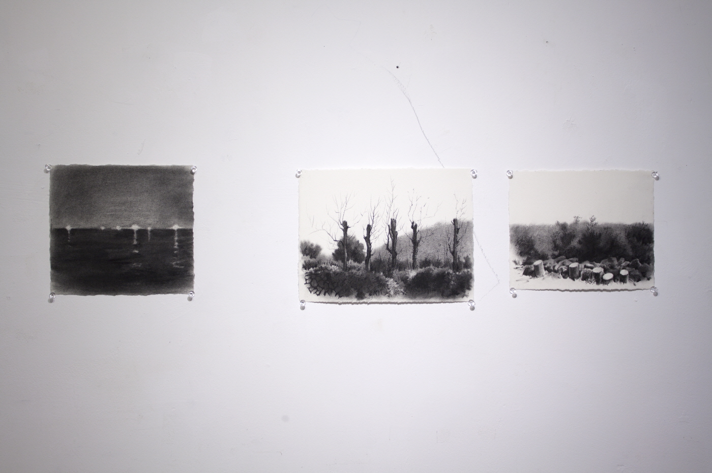 박종호(Park Jongho)