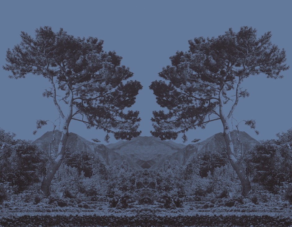 김진수(Kim Jinsoo)