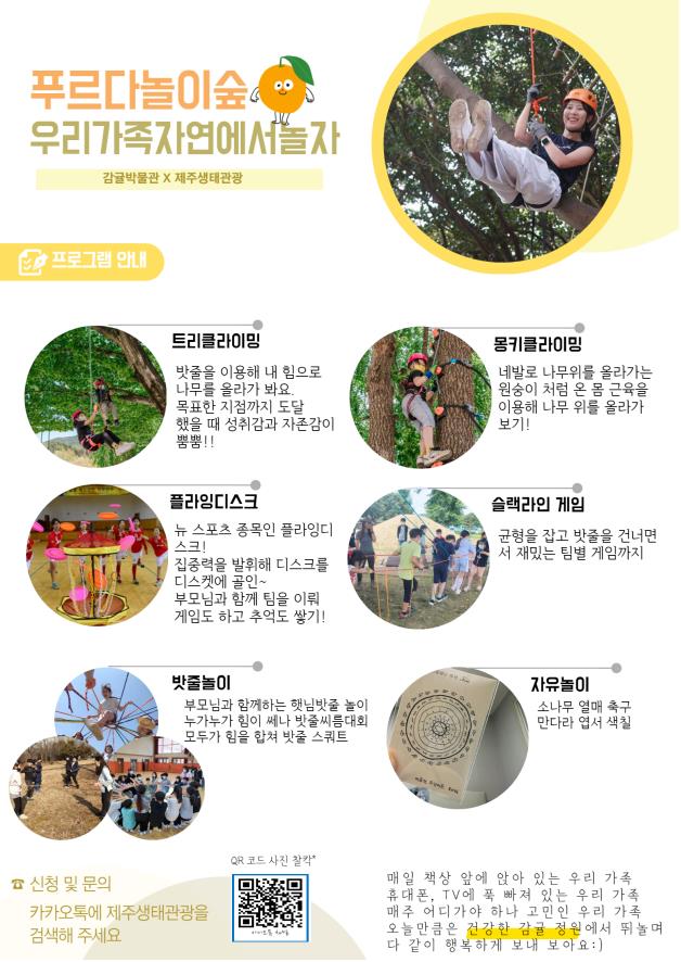 놀이숲 체험 내용