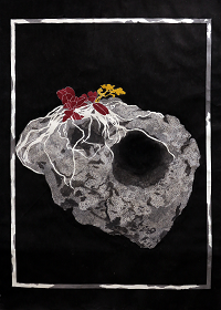 이윤빈(Lee Yunbin)