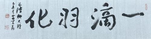 일적우화一適羽化