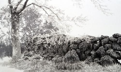와흘리 돌담