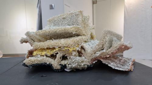 015AU2903 꿈꾸는 책들-중섭선배